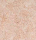 Sylvester Pink